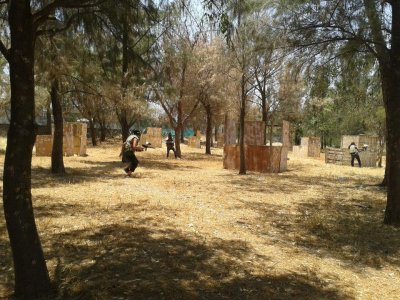 Curso de Verano Gotcha en Aguascalientes