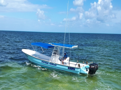 Pesca Deportiva barco 29 ft en Cancún 8 horas