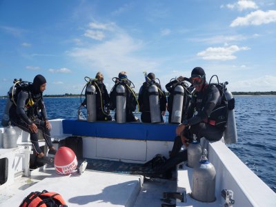 Tauchen in Cenoten Cozumel