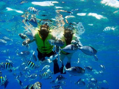 Tour de snorkel en Huatulco por 4 horas