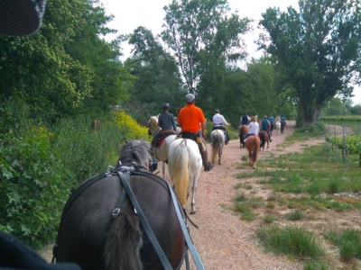 Cabalgamarra para grupos por Entrena 1 hora