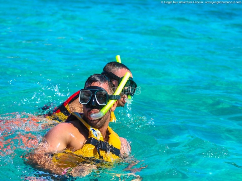 Snorkeling con pez vela y almuerzo en Cancún desde 3,400