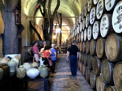 Visite privée des distilleries à Tequila 8 heures