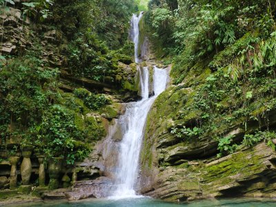 Woods and jungle Tour of Mexico 8 days & 7 nights