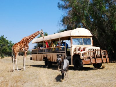 Reino Animal Safaris