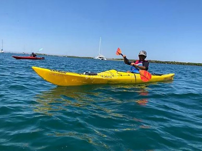 Tour en Kayak en Bahía de La Paz 3 horas desde 1000