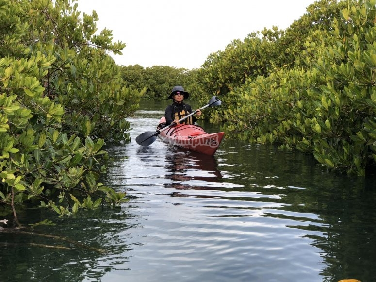Tour en Kayak en Bahía de La Paz 3 horas desde 1000