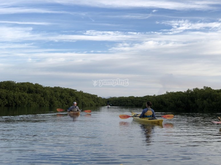 Tour en Kayak en Bahía de La Paz 3 horas desde 1000