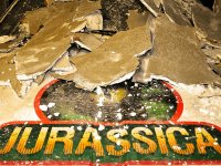 Live the adrenaline in our Jurassic escape room 