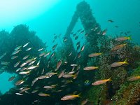 Barco hundido Río de la Plata de la 2a Guerra Mundial