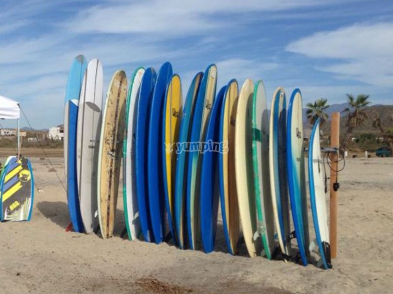 Alquiler de tabla de surf en Playa Cerritos 1 día desde 451 Yumping