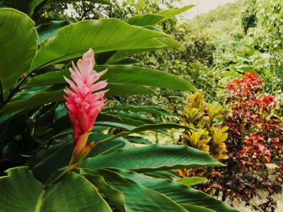 Hagia Sofia, Huatulco (Oaxaca) 2021