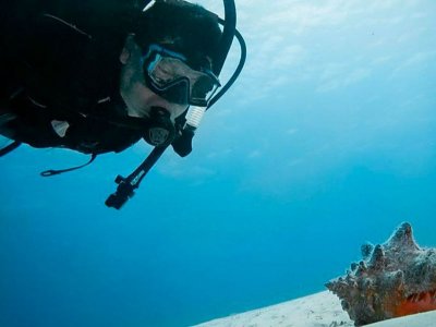 Plongée 4 plongées avec hébergement, Cozumel 6 jours