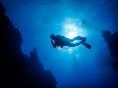 5 dive immersions with accommodation Cozumel 8 d