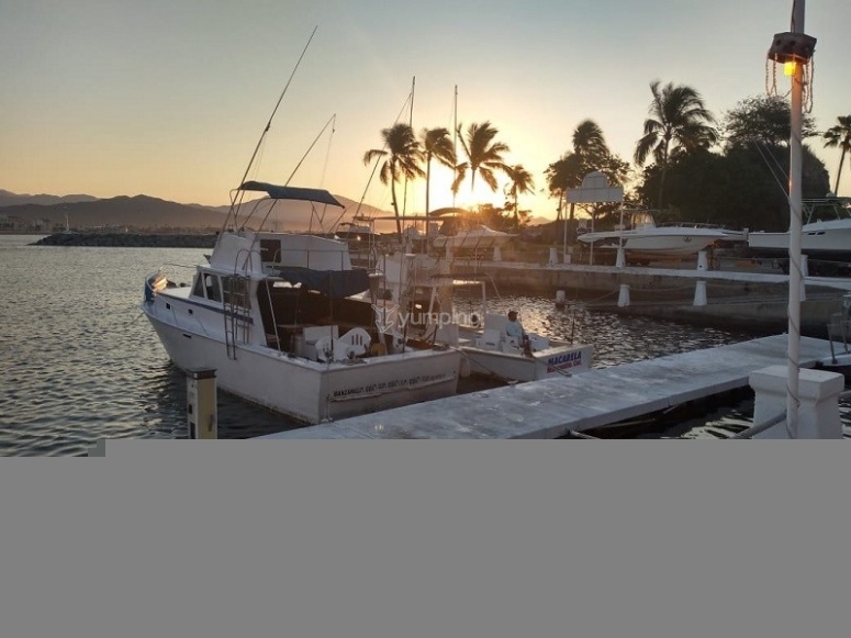Pesca deportiva en yate privado en Manzanillo 5hrs desde 15000