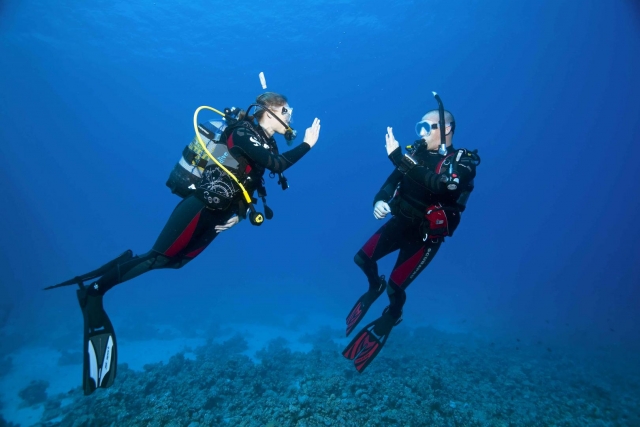  Curso de buceo 