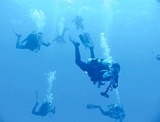  Grupo de buceadores