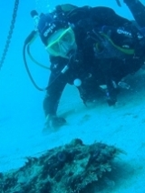 Inmersiones en Niza con las salpas 