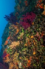  Maravillosa biodiversidad 