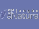 Plongée Nature