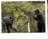 Cúbrele las espaldas 