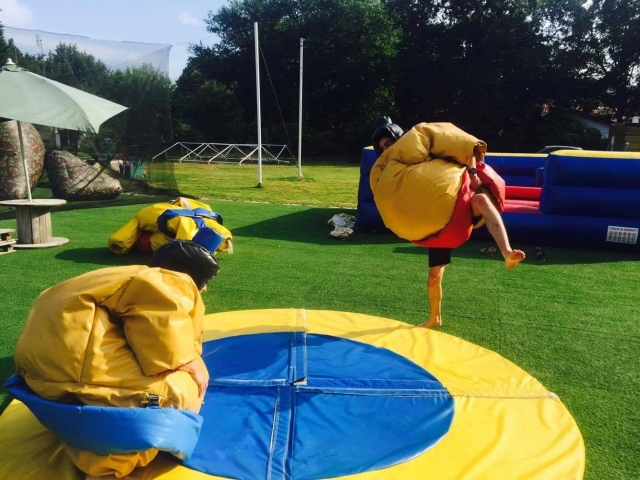  Divertido juego de sumo 