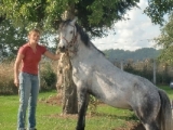  Posando con el caballo