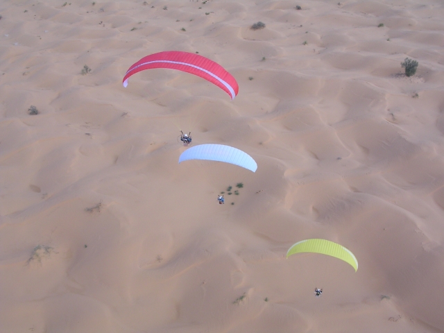  Descubrimientos excepcionales 