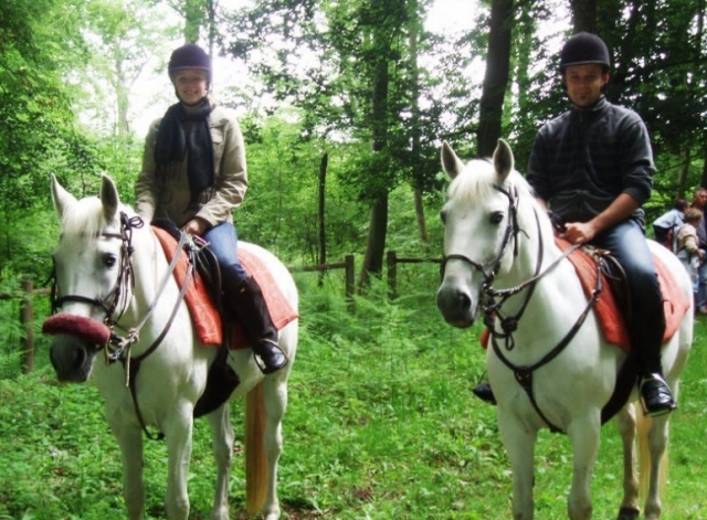  Dos jinetes en el bosque 