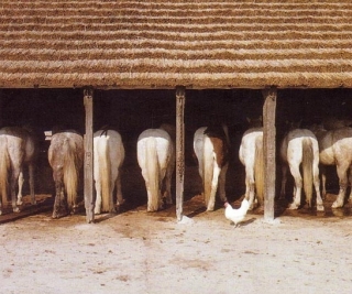  Establo