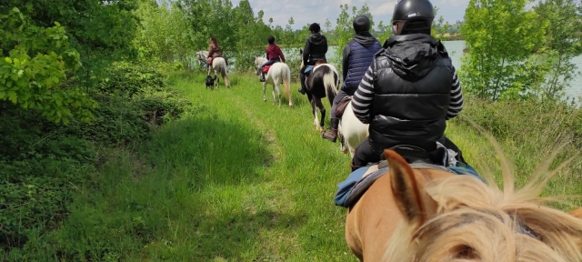  Pbaños a caballo por el campo 
