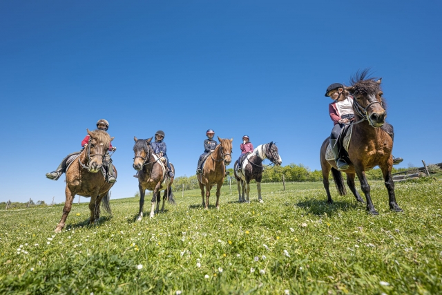 Paseo en pony para nuestros pequeños 