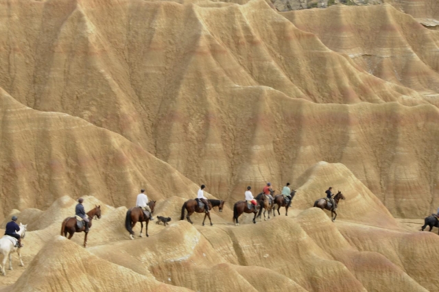  Camicrema en el desierto de las Bardenas en España 