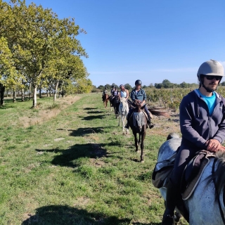 Haras de Saint Vivien