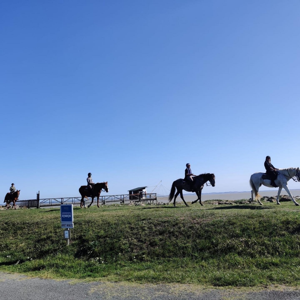  Una pausa para los caballos 