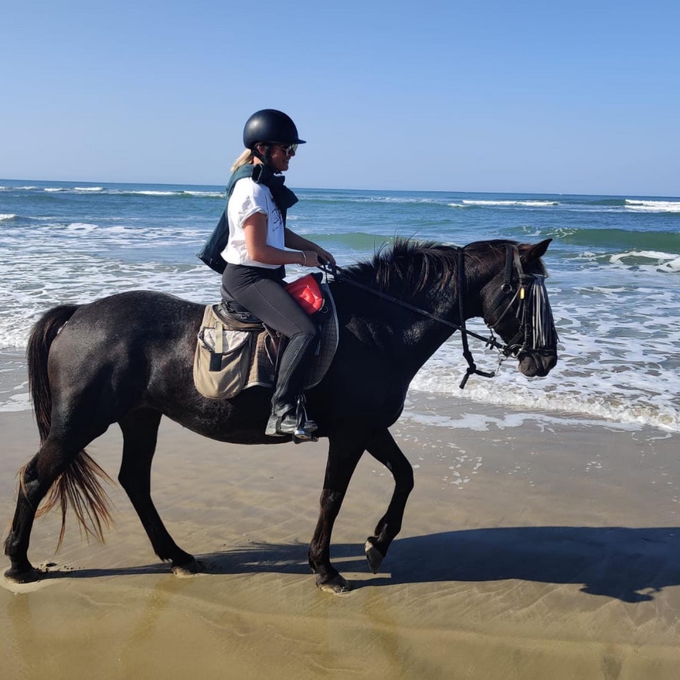  Paseo a caballo para niños 