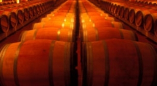  Viñedo 