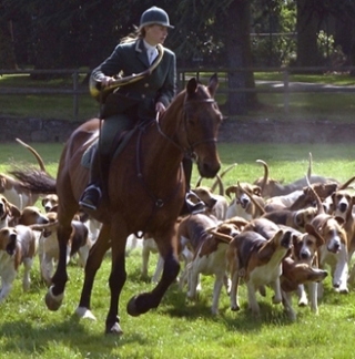 La manada en movimiento 