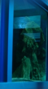  Diferentes ubicaciones 