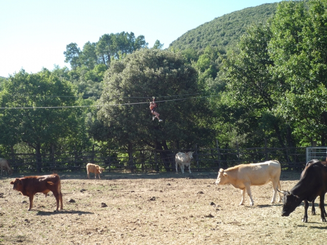  Actividad en el campo 