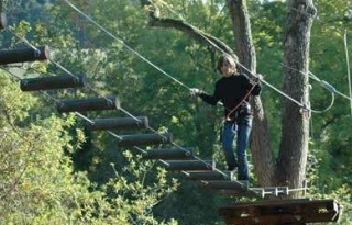  Descubrimiento del bosque 