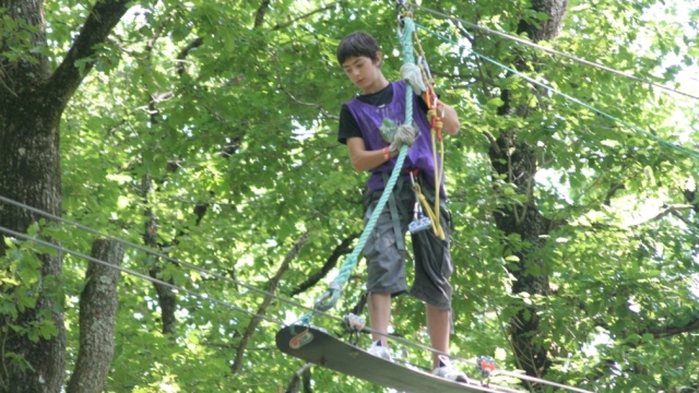  Surf para trepar a los árboles 