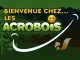Les Acrobois