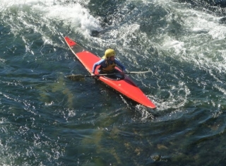  Paddler 