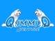 QimmiQ Aventure