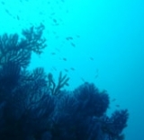  Un mundo desconocido 