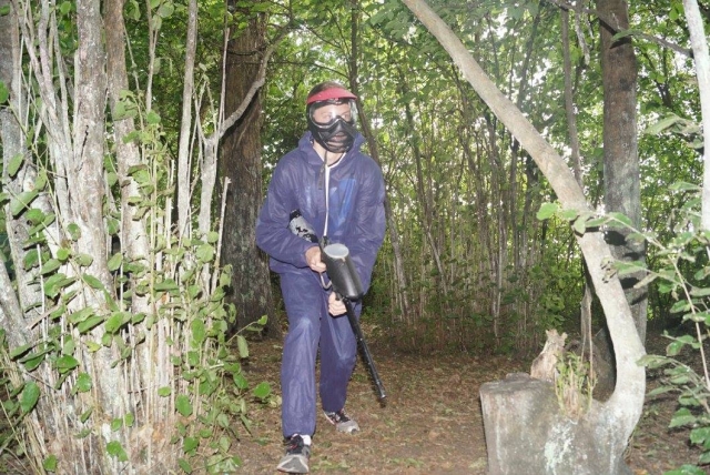  Juego en el bosque 