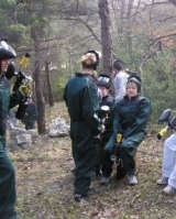  Demos un paseo por el bosque 