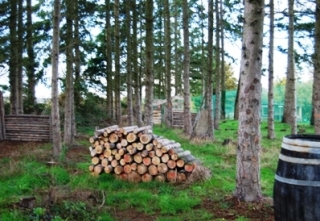  Lugar ideal para esconderse 