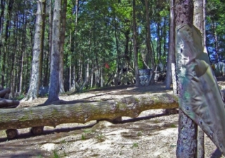  Terreno bien arbolado 